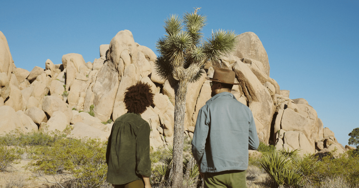 Two men in long sleeve shirts are facing away from the camera, looking towards a tree with a large rock formation behind it.